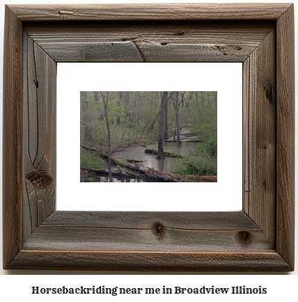 horseback riding near me in Broadview, Illinois